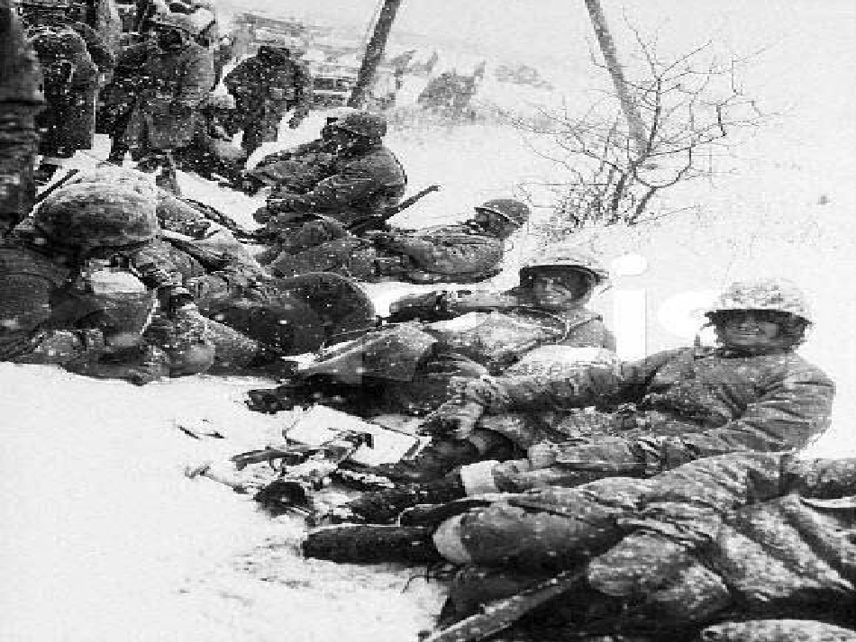 《再见了，亲人》讲课_第2页