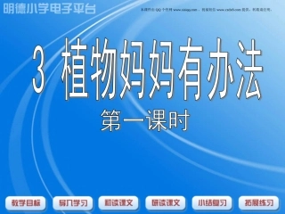 《植物妈妈有办法》第一课时课件