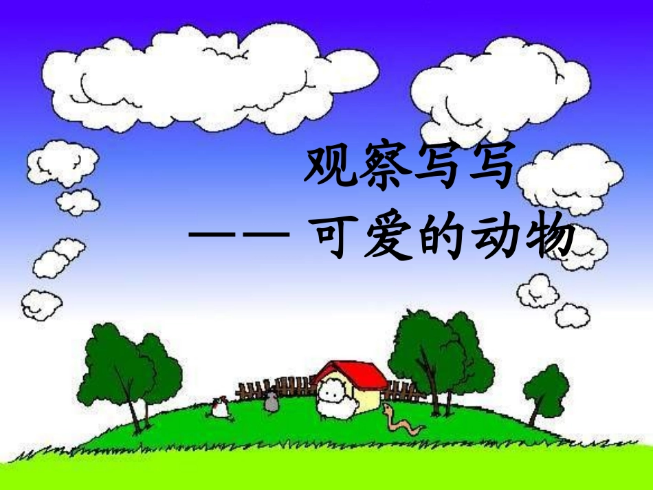 可爱的小动物_第1页