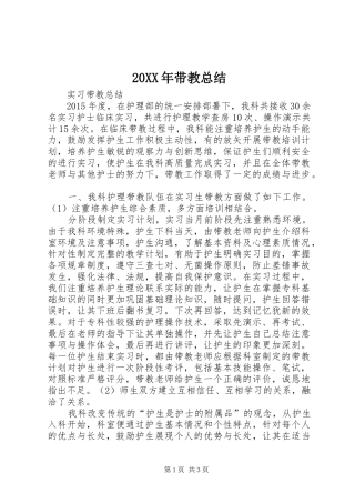 20XX年带教总结 