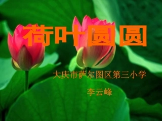《荷叶圆圆》说课