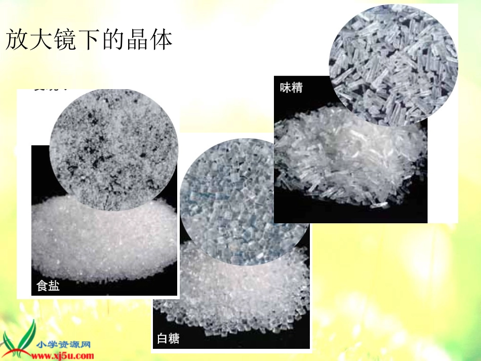 放大镜下的晶体3_第3页