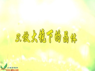 放大镜下的晶体3