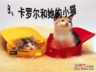 人教版二年级语文下册《卡罗尔和她的小猫》课件