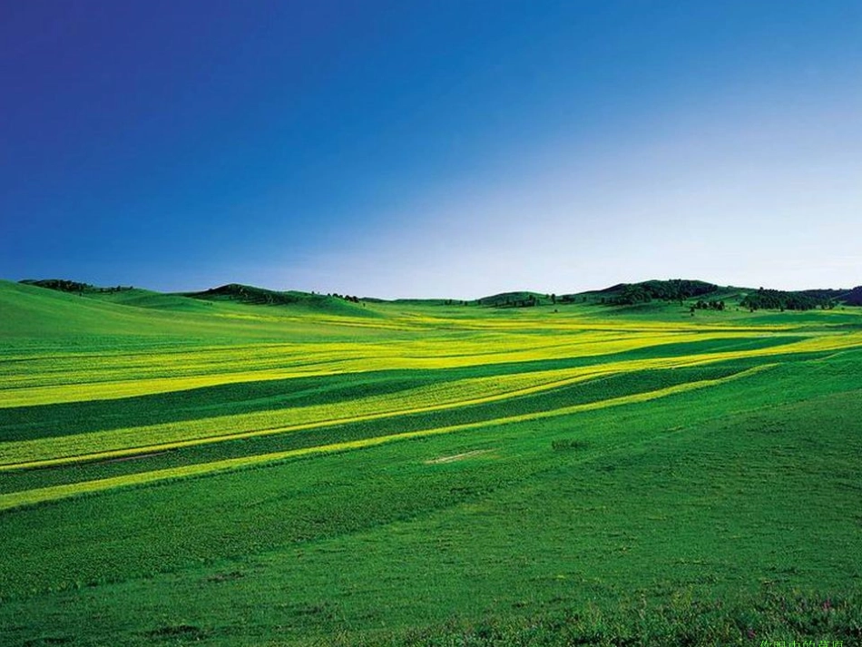 《草原》课件 (2)_第1页