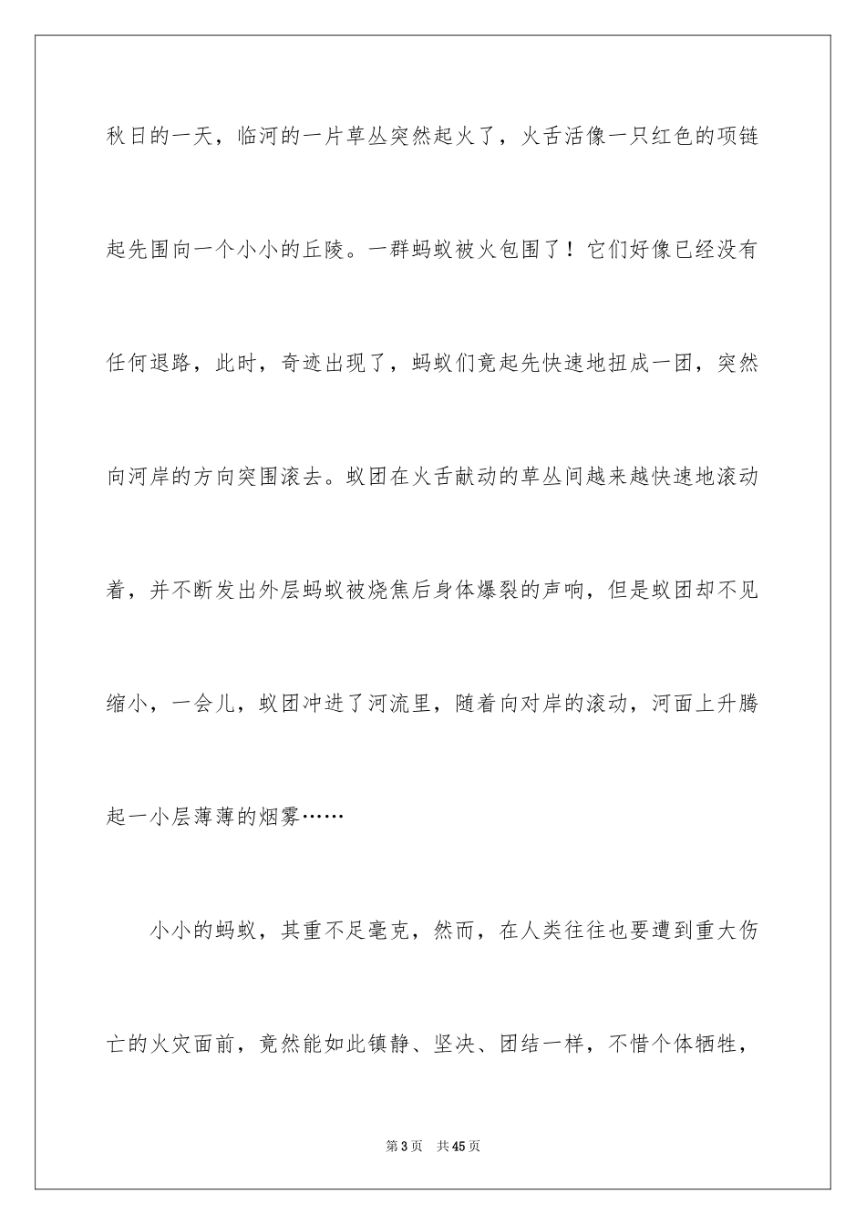 2024团结小学作文_1_第3页