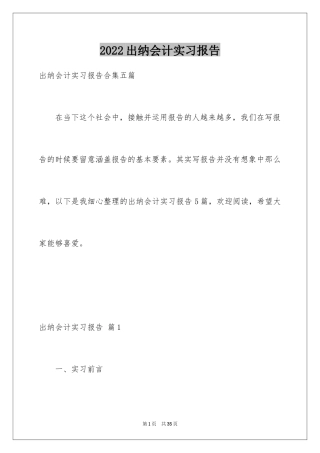 2024出纳会计实习报告_6