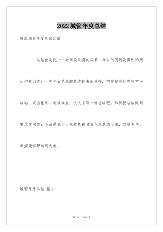 2024城管年度总结