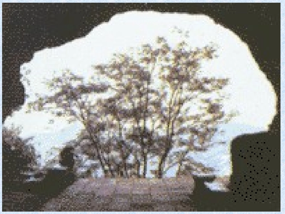 记金华的双龙洞1_第2页