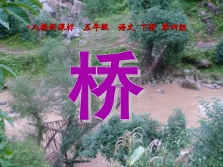 《桥》教学课件1