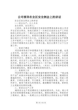 公司领导在全区安全例会上的讲话发言