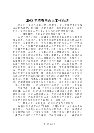 20XX年清查两面人工作总结