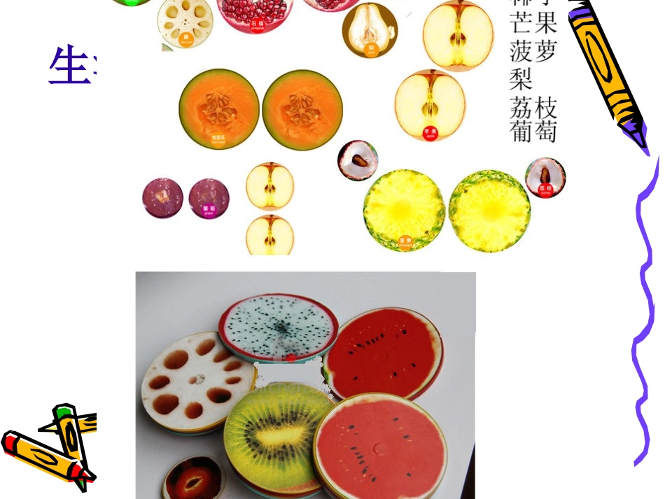 美丽的“椭圆”工具太行路学校王丽丽_第3页