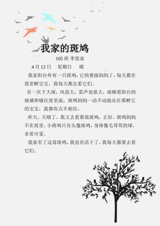 一（5）班李思泉习作《我家的斑鸠》