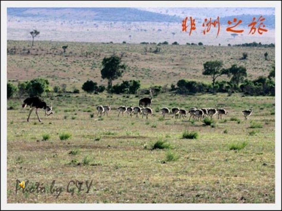 卖木雕的少年姬云昭_第2页