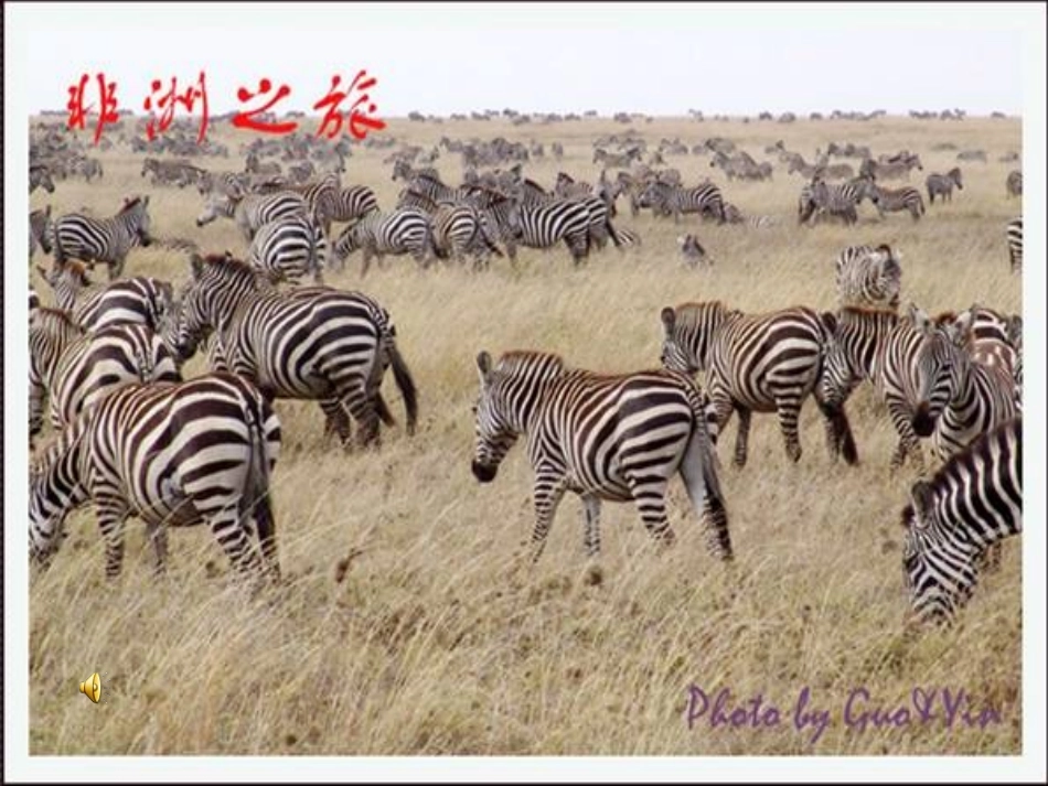 卖木雕的少年姬云昭_第3页