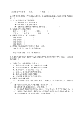 北京的春节 (2)