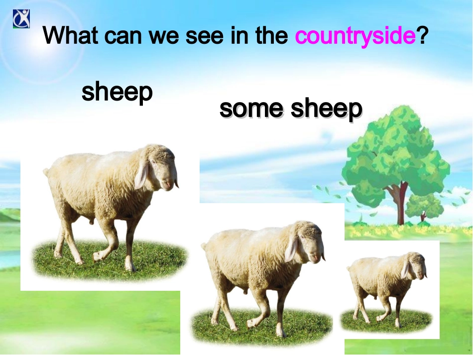 仁爱英语八年级上Unit4Topic1SectionA课件_第3页