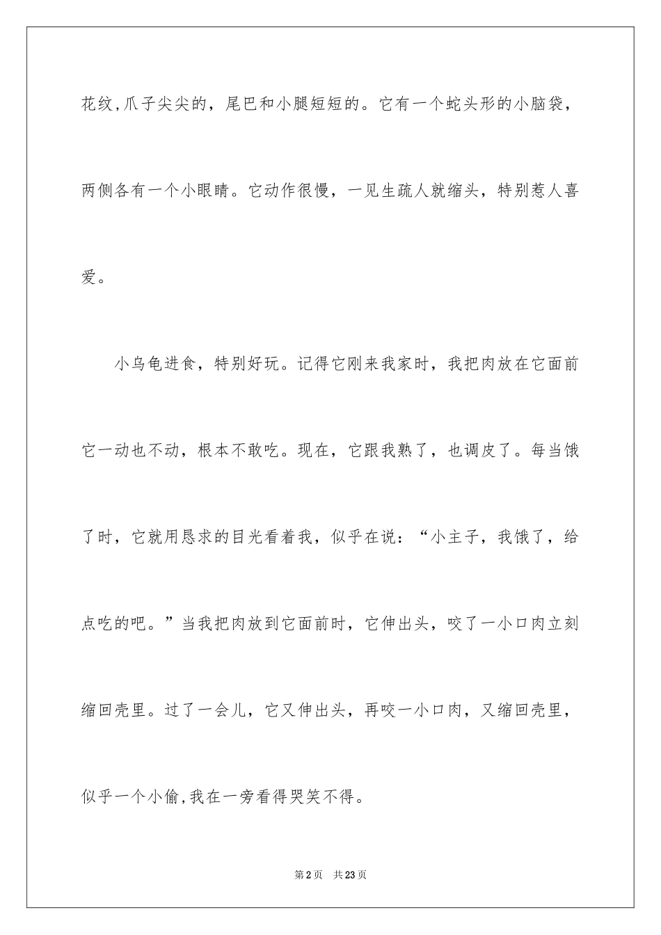 2024可爱的小乌龟小学作文_3_第2页