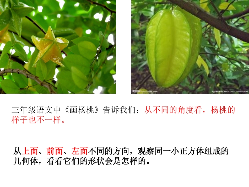 小学数学四年级下册2观察物体(二)_第1页