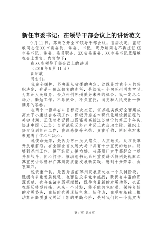 新任市委书记：在领导干部会议上的讲话发言范文