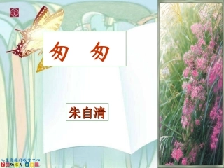 《匆匆10》PPT课件