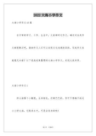 2024大海小学作文_1