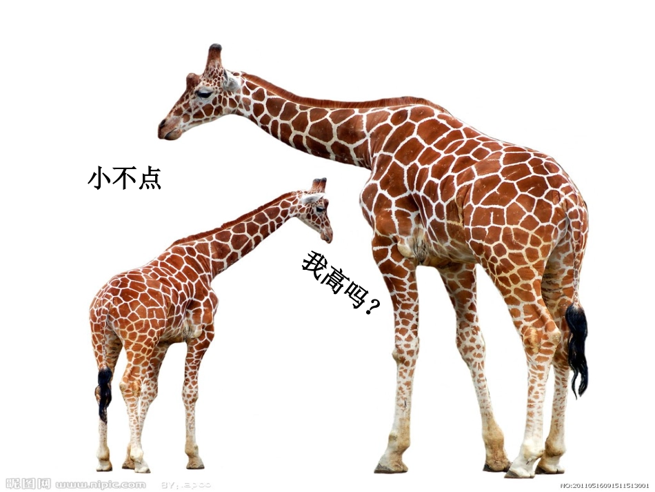 高个子大胖子_第2页