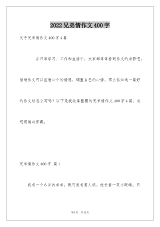 2024兄弟情作文400字