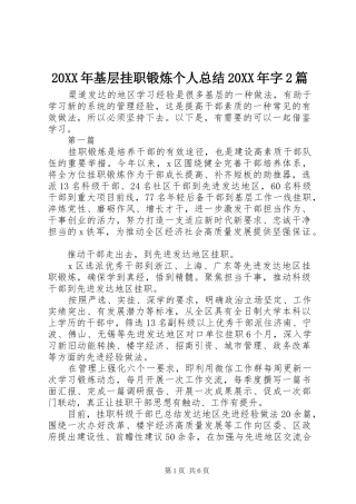 20XX年基层挂职锻炼个人总结20XX年字2篇