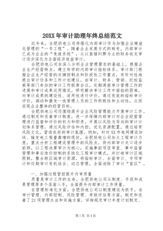 20XX年审计助理年终总结范文
