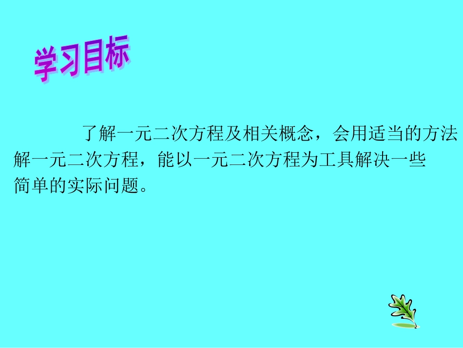 《一元二次方程》复习课_第3页
