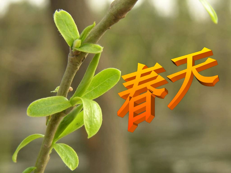 触摸春天PPT课件_第2页