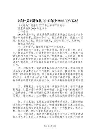 (统计局)调查队202X年上半年工作总结