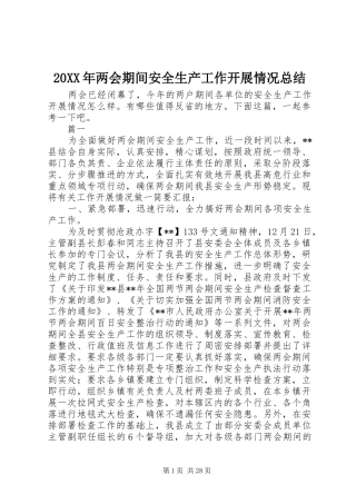 20XX年两会期间安全生产工作开展情况总结
