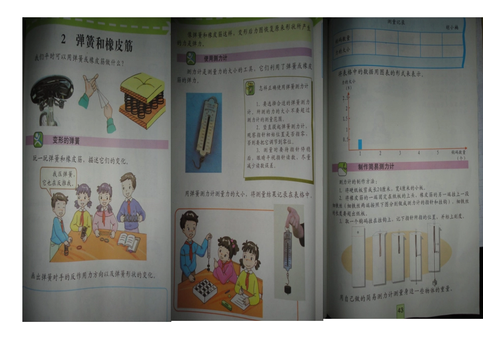 《弹簧和橡皮筋》_(1)_第2页