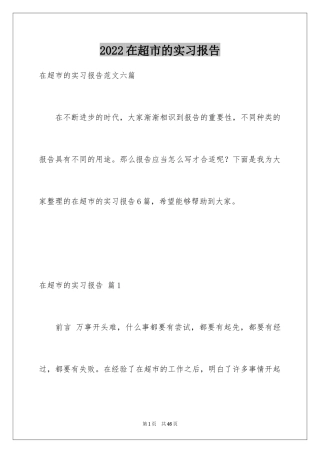 2024在超市的实习报告_8