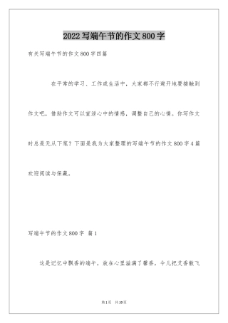 2024写端午节的作文800字_9