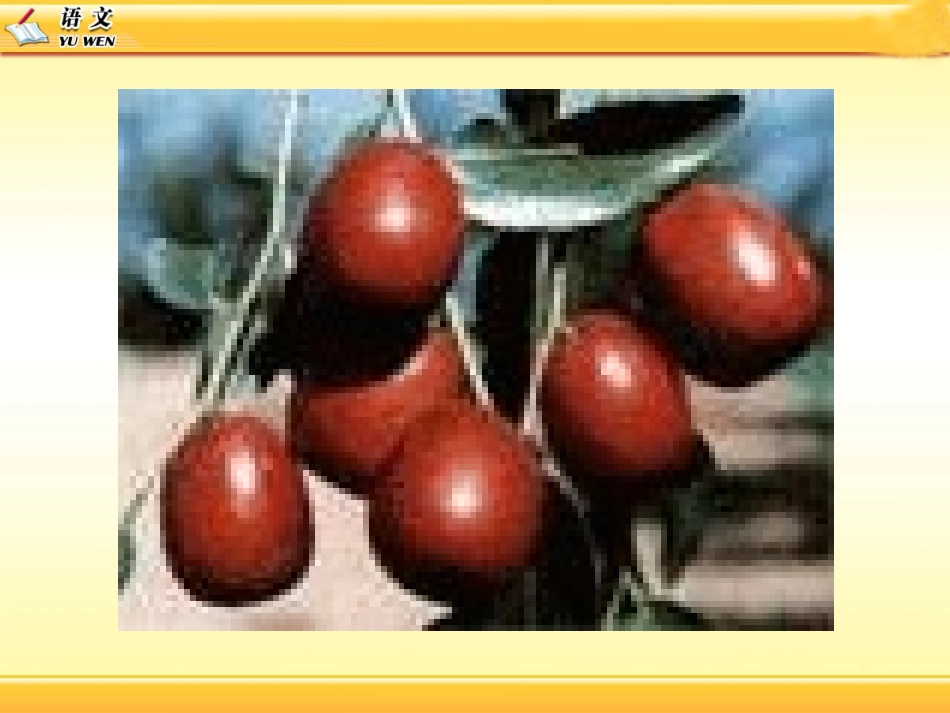 《枣儿》课件3_第2页