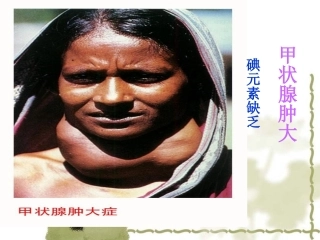九年级化学化学元素与人体健康2课件粤教版AA