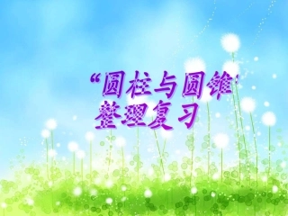 六年级数学观摩课(圆锥与圆柱的练习)