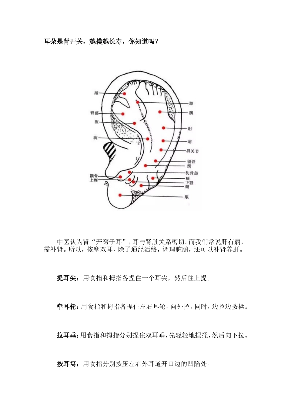 耳朵是肾开关，越摸越长寿_第1页