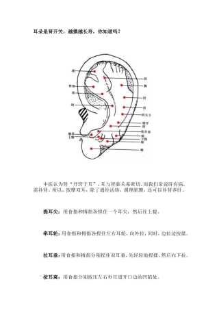 耳朵是肾开关，越摸越长寿