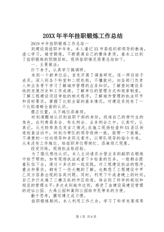 20XX年半年挂职锻炼工作总结