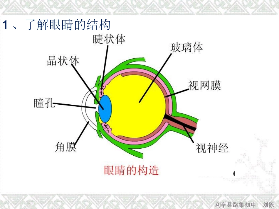 眼睛与光学仪器_第3页