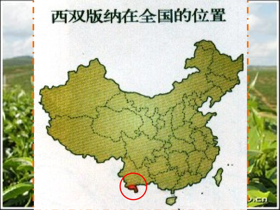 [[初二地理课件]]初二地理下学期第二节《西南边陲的特色旅游区-西双版纳》PPT课件_第2页