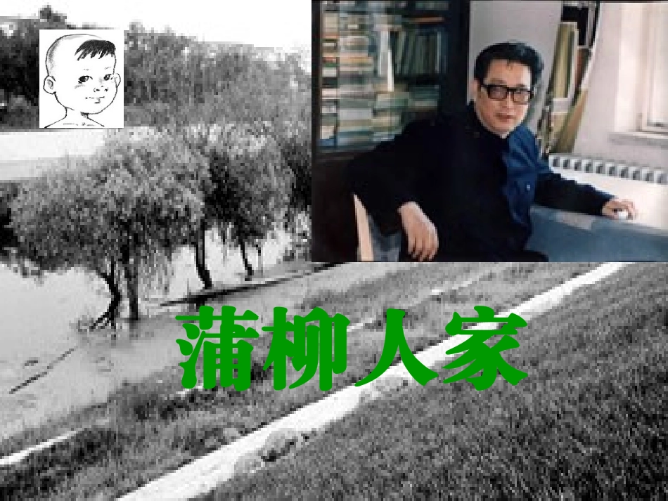 《蒲柳人家》课件_第1页