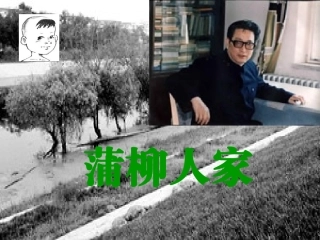 《蒲柳人家》课件