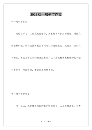 2024初一端午节作文