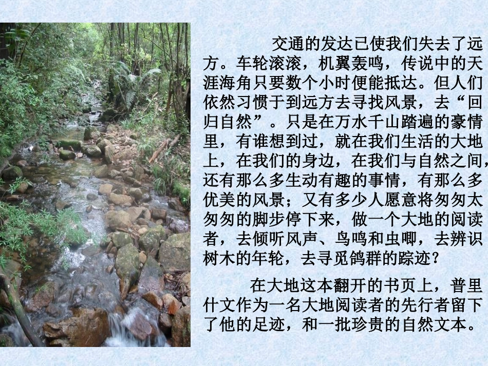 《林中小溪》_第3页